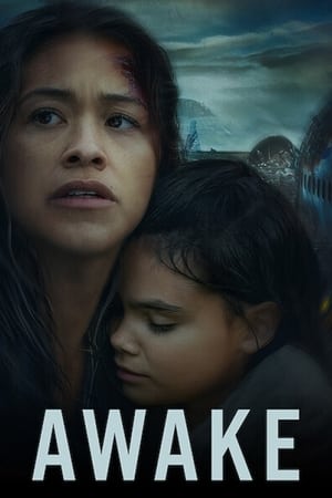Awake (2021) Hindi Dual Audio 720p Web-DL [880MB]