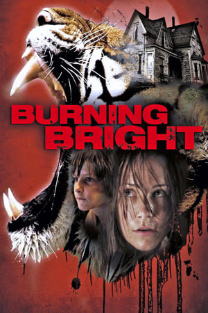 Burning Bright (2010) Hindi Dual Audio 720p BluRay [750MB]