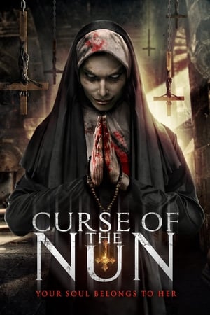 Curse of the Nun (2019) Hindi Dual Audio 480p BluRay 260MB