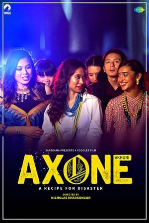 Axone 2019 Hindi Movie 720p HDRip x264 [790MB]