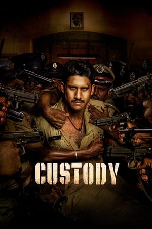 Custody 2023 Hindi (HQ-Dub) Dual Audio HDRip 720p – 480p