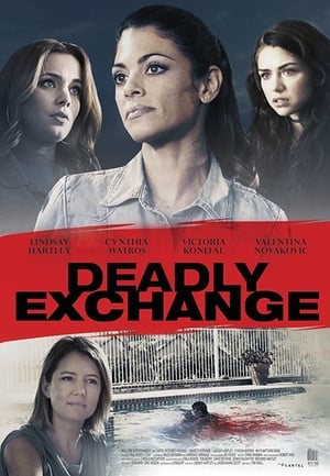 Deadly Exchange 2017 Hindi Dual Audio 480p BluRay 300MB