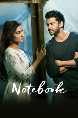 Notebook (2019) Hindi Movie Pre-DVDRip x264 [700MB]
