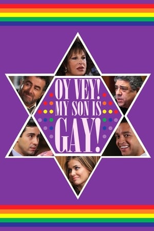 Oy Vey! My Son Is Gay!! (2009) Hindi Dual Audio 720p Web-DL [860MB]